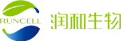 xxx电子有限公司